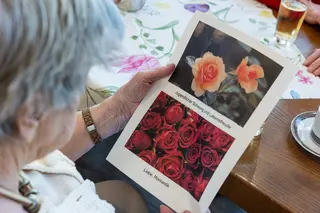 Ältere Dame sieht sich Blumenbilder an